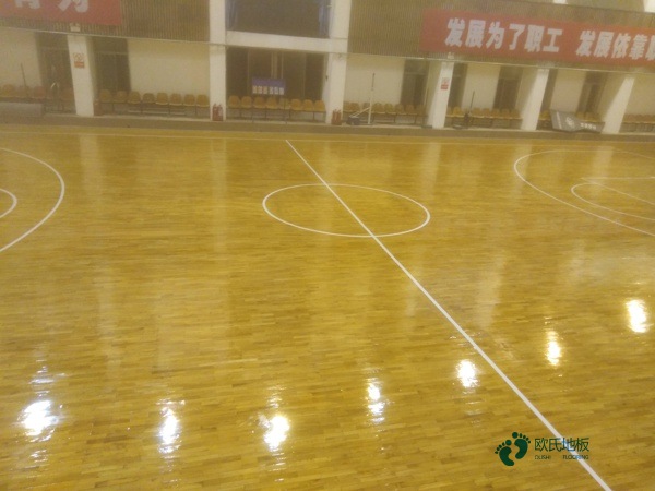 楓木體育場地木地板環保